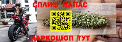 индика Бузулук