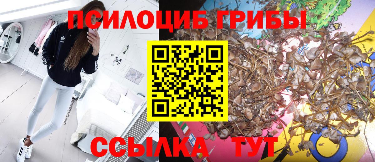 купить закладку  Галлюциногенные грибы Psilocybine cubensis  Вход с VPN  Чусовой  Псилоцибиновые грибы мухоморы 