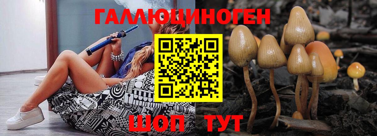 Галлюциногенные грибы Magic Shrooms Чусовой